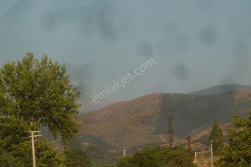 İzmir Torbalı Gold Emlaktan Tirede Satılık Tarla