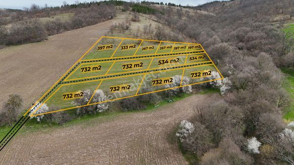 Dereye Yakın Orman Manzaralı Yola Cepheli 13 Hisseli Tarla