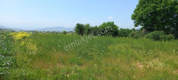 Roma' Dan Süpürtü Mah. Yatırımlık Fırsat Hobi Bahçesi