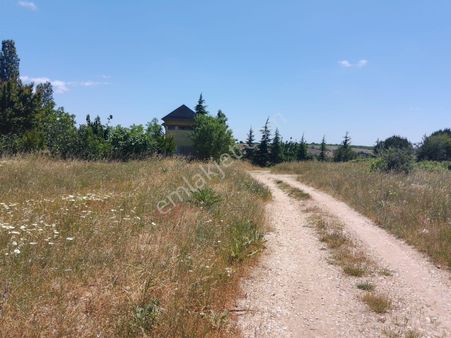 Kırklareli Haticehatun'da Satılık 2.450 M2 Fırsat Yer