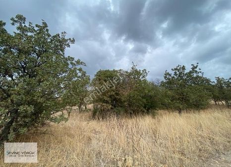 İzmir Menemen Süleymanlı'da Manzaralı Tarla