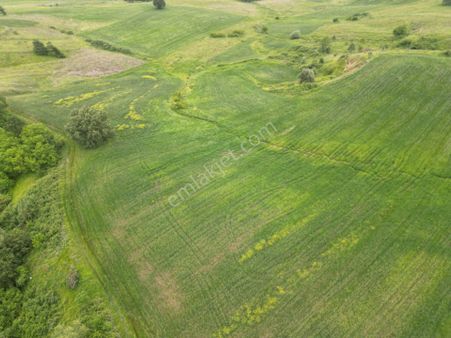 Kocaeli Karamürsel Kızderbent Mahallesi Satılık Tarla 21716 M2