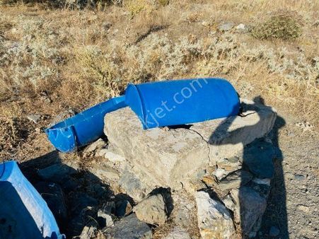 005-bakımlı Verimli Zeytinlik