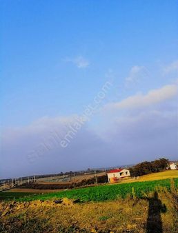 Sakarya Kaynarca Baraja Sanayiye Yakın Köy İçinde Satılık Arazi