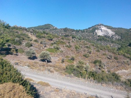 016-köy Kenarında Manzaralı Arazi