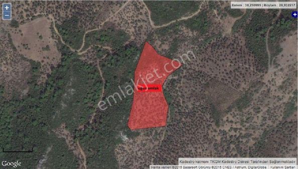 021-organik Zeytinyağı İçin Uygun Arazi