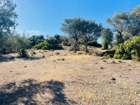 023- Organik Zeytinyağı Üretimi İçin Uygun Zeytinlik