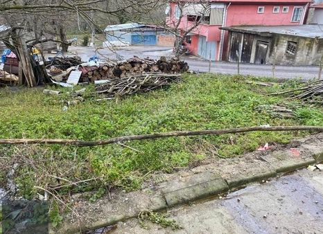 Kandıra Yakın Kanatlar Köyün İçi %40 İmarli 86m2 Hemen Ev Yap