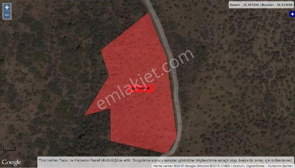 040-resmi Yola Cepheli Etrafı Tel İle Çevrili Bakımlı Zeytinlik