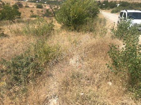 Satılık Konakta Bahçe