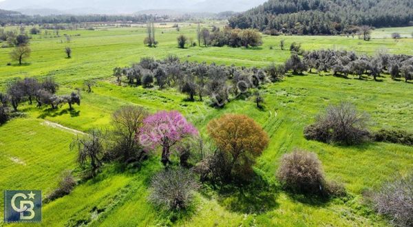 Coldwell Banker Uzman'dan Karabörtlende Düzlük Alanda Arazi