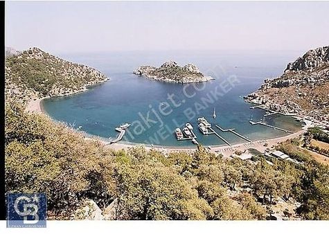 Coldwell Banker Uzmandan Bayır Köyünde Yerleşim İçerisinde Tarla