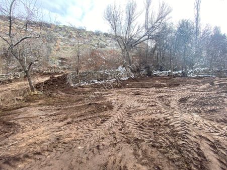 İncesu Süksün Zaferde Acil Satılık Tarla