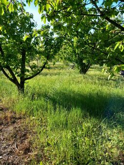 Cetın Emlaktan Hobı Bahcesı