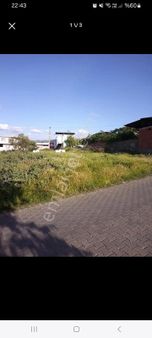 Asfalt Yakını Arsa