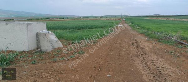 Pratik Den // Ağırnas Lale De Satlık Sulu Tarla