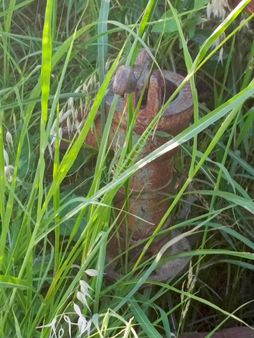 Aydın Nazilli Toygar Mah Satılık Tarla