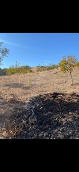 Manisa Köprübaşı Satılık