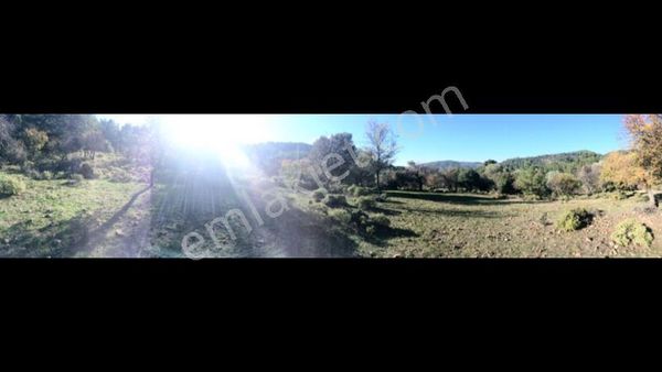 101-seferihisar Beyler De Orman İçinde Arazi