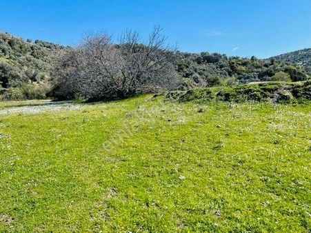 103-resmi Yola Cepheli Düz Arazi