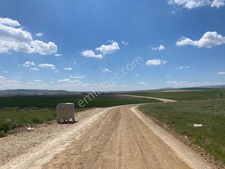 Temelli Bacı Da Yatırımlık Satılık Arazi 400.000 Tl