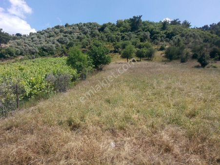 112-resmi Yola Cepheli Düz Arazi