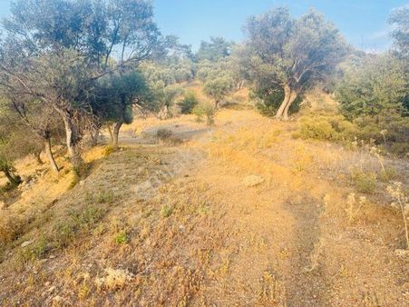 114-hobi Bahçesi İçin Uygun Müstakil Parsel