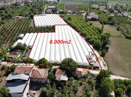 Antalya Elmalı Armutlu Mahalle Merkezinde Evi Bulunan 8.000m2 Kapalı Satılık Sera