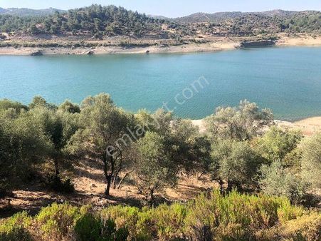 119-asfalt İle Su Arasında Her Düşünceye Uygun Arazi