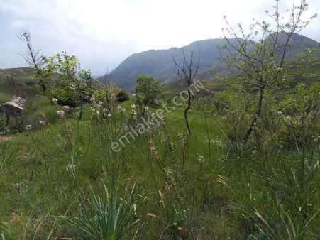 Yenikaş Yağrat Yaylası 1206m² Deniz Manzaralı