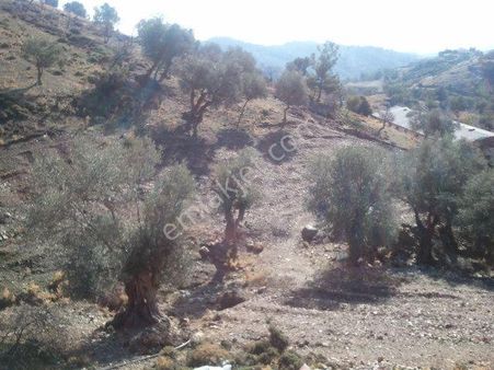 124-köy Kenarında Elektirik Su Alınabilir Manzaralı Arazi