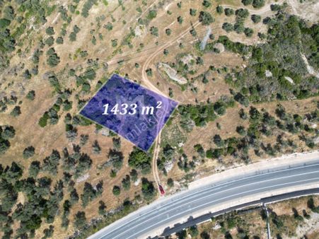 Karaburun İçmekıyısı Mevkii'nde Satılık Zeytin Ağaçlı Tarla