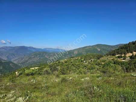 Bolu Mudurnu Karapınarkavağı Da Satılık Tarla