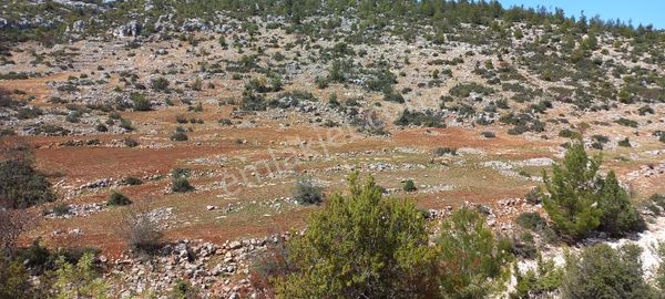 Aydıncık Ve Gülnara Yakın Asfalta Yakın 18 Dönüm