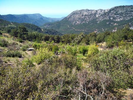 Mersin Aydıncık Yağrat Mevkisi 2882 M² Badem Bahçesi