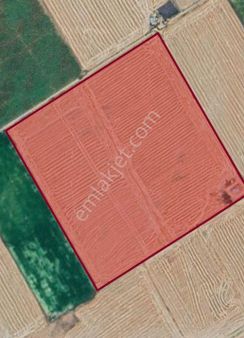 Sezenler Emlaktan Kazımkarabekir Emsalhayat Mahallesi'nde Satılık Tarla