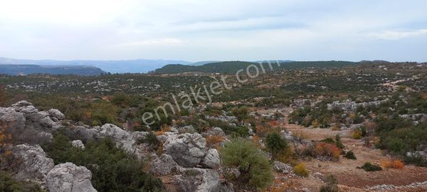 Eskiyörük Köyüne Yakın 20 Dönüm Tarla