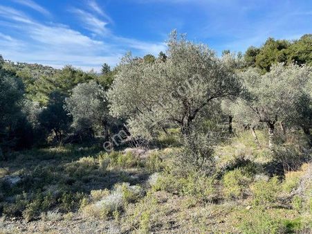 139-su Sorunu Olmayan Köy Kenarında Arazi