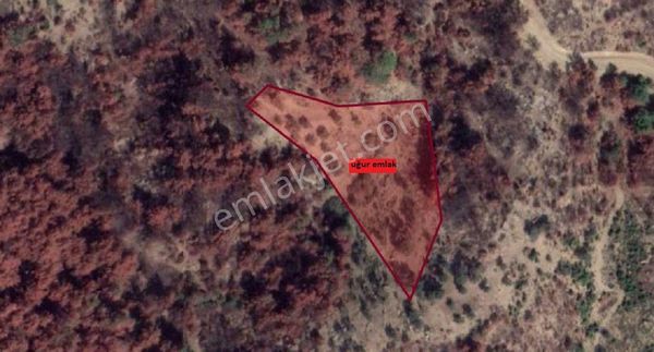 142- Orman İçinde Arazi