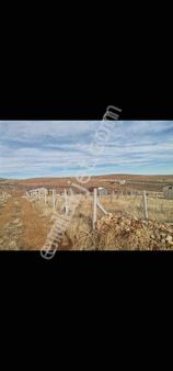 Konya Meram Çayırbağı 400 M2 Satılık Bahçe