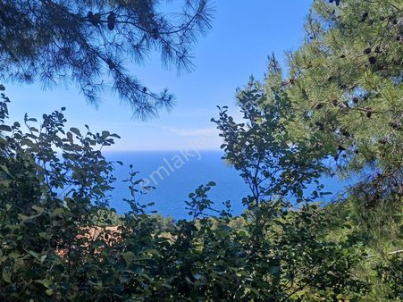 Stop’tan Fethiye Faralya’da 2.900m² Köy İçi İmarlı 2 Adet Arsa