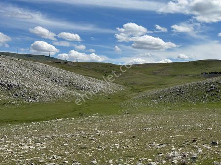 Zirvekent Tokiler Arkası 130 Ada 222 Parsel’de 221 M2 Hisse Hobi Bahçesi Olur
