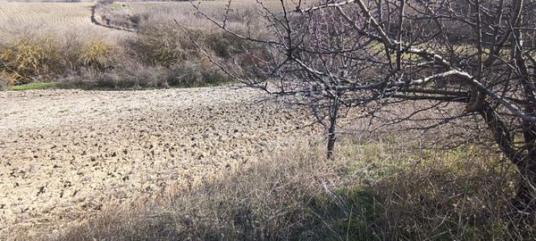 Edirne İpsala Korucu Köyü'nde Satılık Tek Tapu Tarla Konum Doğru Değildir
