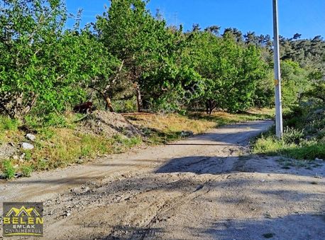 Resmi Yolu Suyu Ve Elektrik Olan Yatırımlık Yerimiz