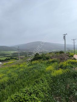 M.k.paşa Gayrimenkulden Bursa Mustafakemalpaşa Bostandere Mahallesinde Asfalt Yola Bir Parsel Tarla