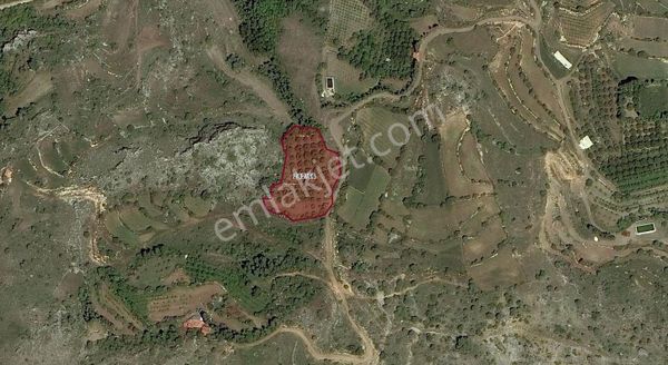 Asya Evim Gayrimenkulden Yeşilbaşköyde Satılık Hobi Bahçesi