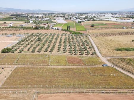 Menderes Develi'de Satılık 2.126 M2 Anayola Yakın Çevrili Bahçe