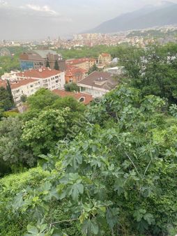 Bursa Osmangazi Çekirgede Çelikpalas Otel Arkası Hisseli Satılık Acil 116m2 Arsam2 Arsa