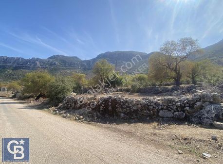 Coldwell Banker Uzman'dan Söğüt Köyünde Düzlük Alanda Tarla