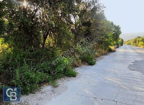 Antalya Döşemealtında Bademağacı Mevki Satılık Kupon Arazi